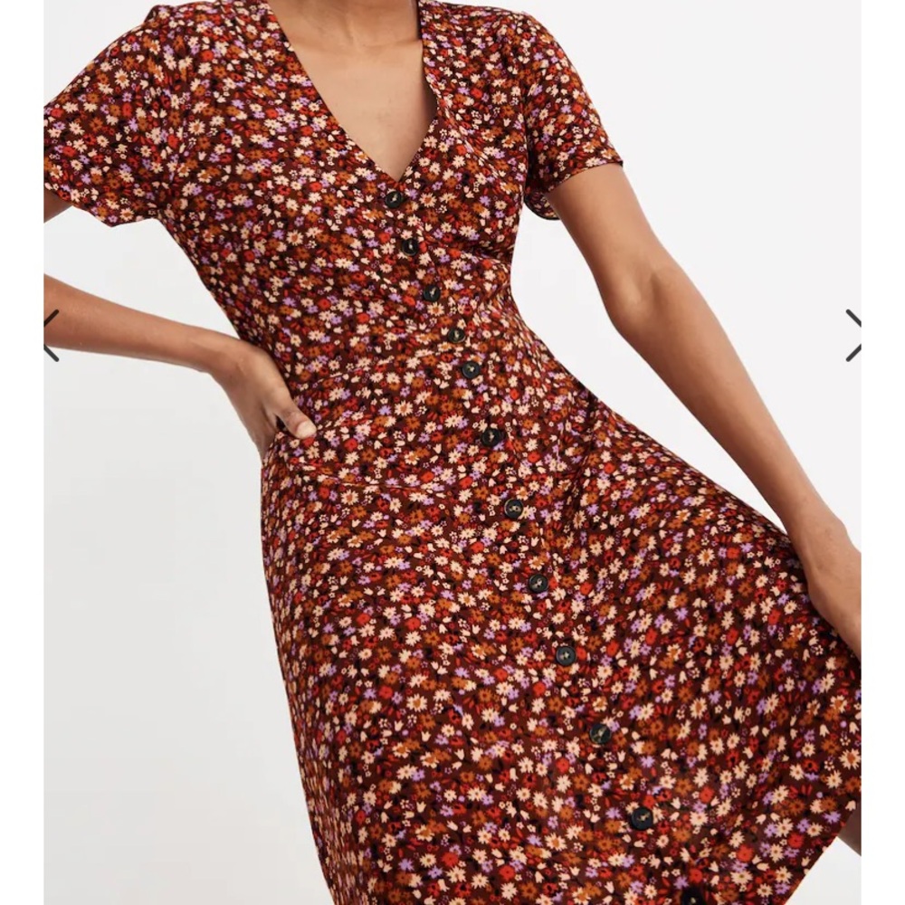 Madewell Floral Print Dress - Red and Brown